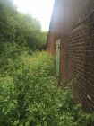 Overgrown Emergency Escape Route